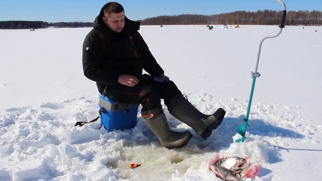 Отзывы Каблан ПУ смотреть онлайн