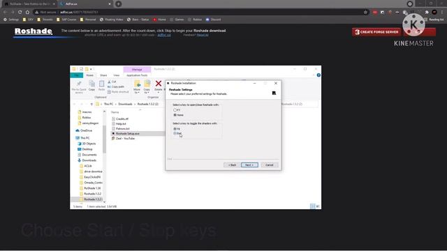 How To … Install Roshade Shaders For Bee Swarm Simulator #beeswarmsimulator