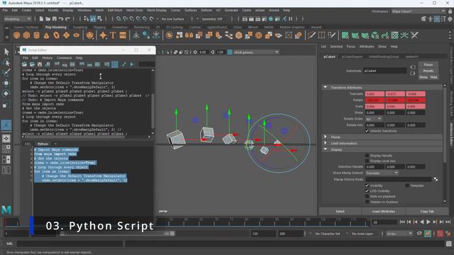 Maya - Default Transform