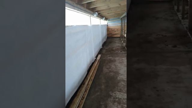 22-й день строительства сарая-навеса для КРСа