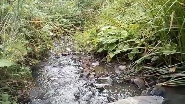 Релаксация ✓Ручей ☘️☘️☘️Мать-Мачеха☘️☘️☘️ смотреть онлайн