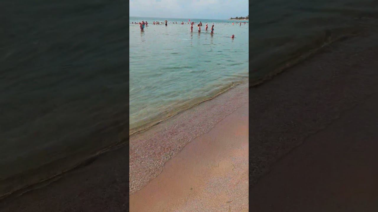 Море снова чистое, медузы позорно сбежали))) #крым2024 #море #евпатория #shorts #travel смотреть онлайн