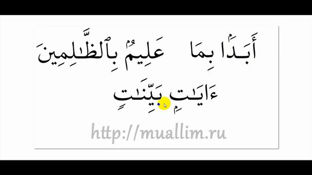 Практика, превращение ن.mp4 смотреть онлайн