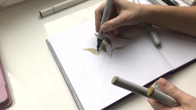 Copic markers Botanical illustration Time Lapse рисование маркерами веточка с листочками смотреть онлайн