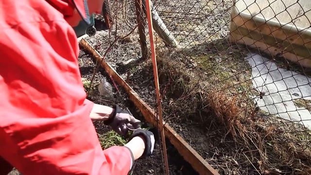 Уход за розой весной. Апрель-май смотреть онлайн