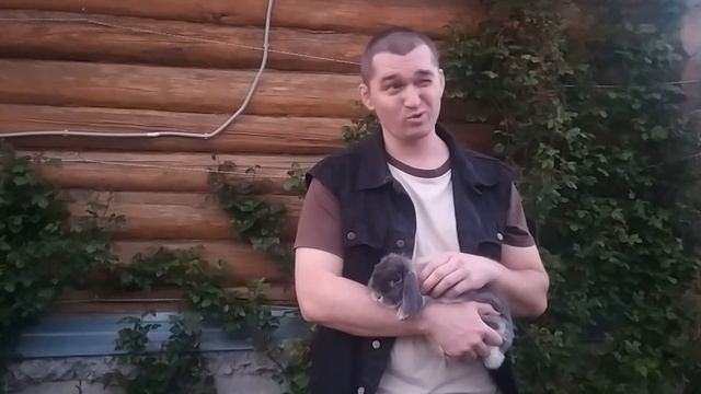 Почему кролик кусается и рычит? смотреть онлайн