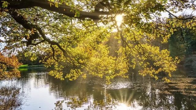 Свекровь клеветала на Галю годами и убедила сына выгнать жену, но увидев спустя время он оторопел.. смотреть онлайн