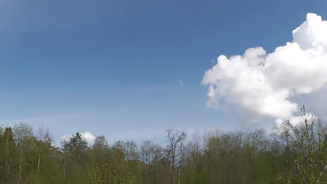 Сказочная РЕЧКА СТАРОЙ ДЕРЕВУШКИ. Красота Русской ПРИРОДЫ. Мотопрогулка. смотреть онлайн