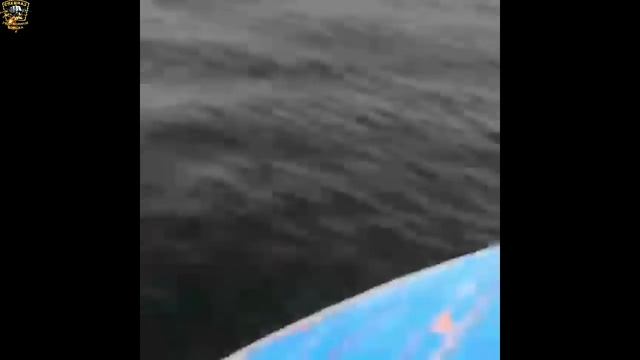 ★Настоящий рыбак ловит не рыбу, а удачу/Приколы на воде/Неудачи на рыбалке/Приколы на рыбалке 2020/ смотреть онлайн