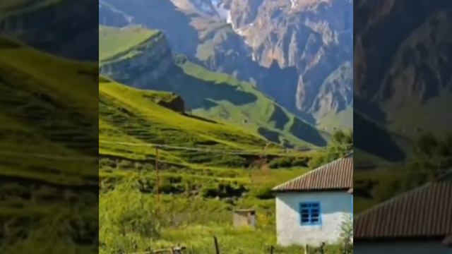 Abgül Mirzəliyev gözəl muğam ifası #mugam #tar #kaman #şamaxı смотреть онлайн