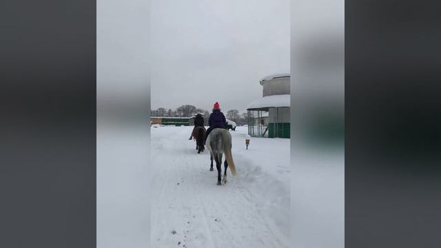Парк-отель "Колкуново" (Россия, Тверская область) смотреть онлайн