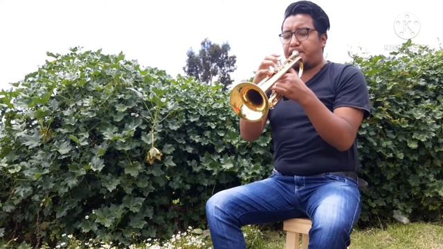 Vivo por ella Cover para Trompeta смотреть онлайн