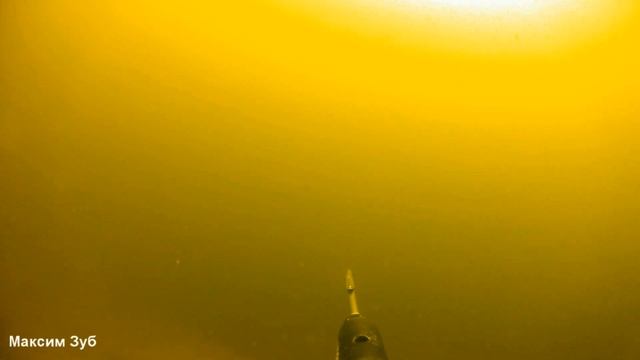 Опасные ситуации и как их избежать.Подводная охота.spearfishing смотреть онлайн