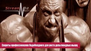 Культуризм ЛИКБЕЗ | Секреты профессионалов бодибилдинга для роста дельтовидных мышц