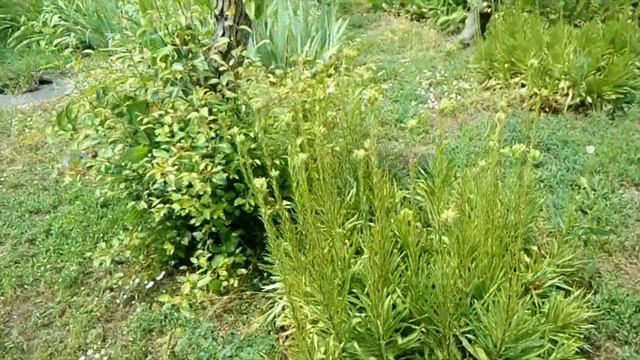 28 мая 2023 воскресенье смотреть онлайн