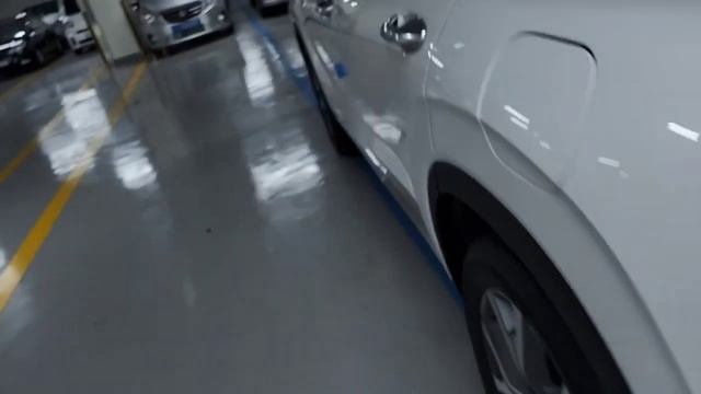 Hyundai Palisade, осмотр перед покупкой для нашего клиента, цена в описании?? смотреть онлайн