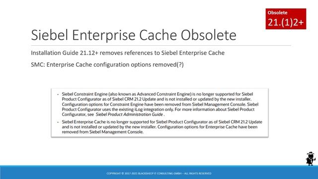 Siebel CRM 21.12 Update Summary - STAY SAFE смотреть онлайн