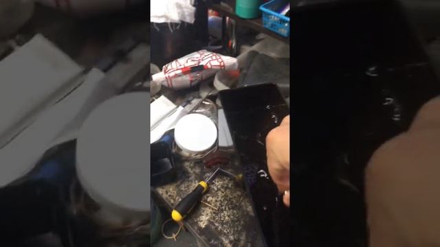 Wmf 1200s декальцинация