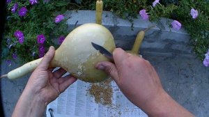 #Лагенария. Эффективный способ очистки!