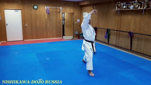 Ката Пинан Нидан (Вадо каратэ) смотреть онлайн