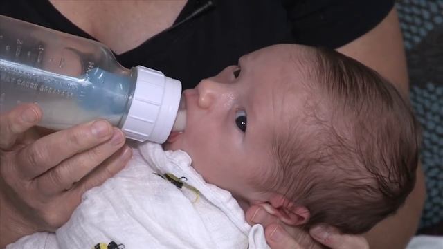 Paced Bottle Feeding смотреть онлайн