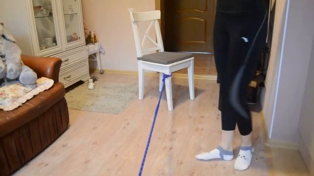 Физическая культура, 3-5 лет, "Ребятам о зверятах" - продолжение смотреть онлайн