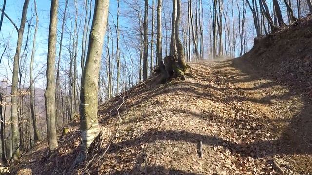 Хард Эндуро по Карпатам на мотоциклах Shineray, Geon, Musstang, и мопед Альфа смотреть онлайн