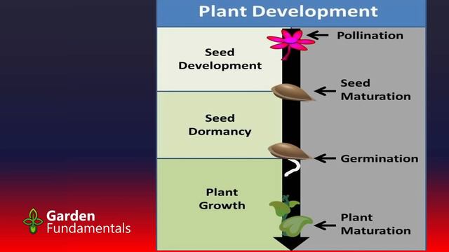 Start Any Seed Including Perennials, Trees, Shrubs And Bulbs - Part 1