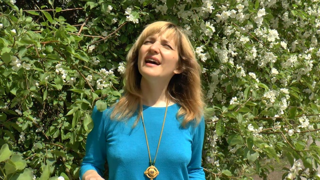 Музыкант - Елена Писаренко смотреть онлайн