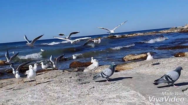 Актау Каспийский море смотреть онлайн