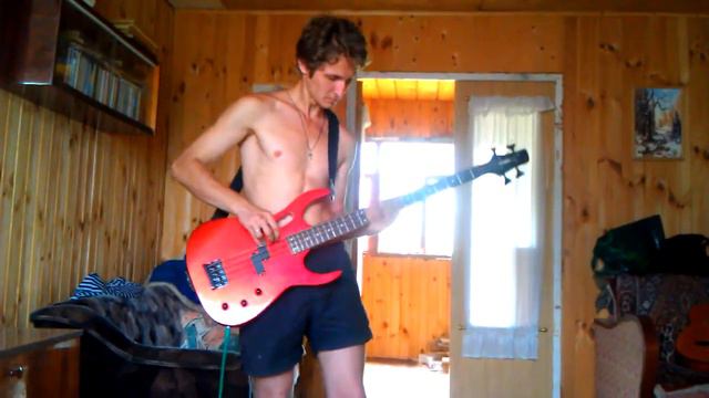 Василий Барамиа Rammstein - Feuer Frei bass cover смотреть онлайн