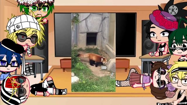 |MHA React To Midoriya's Animal| Part 3| •wixfox• смотреть онлайн