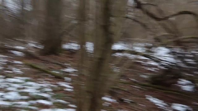 С Каюром и Златой/Вдоль речки/По Козьей горке/ смотреть онлайн