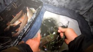 Сеть от FISHING PRO Геннадия ! Проверка сети! Рыбалка 2022!