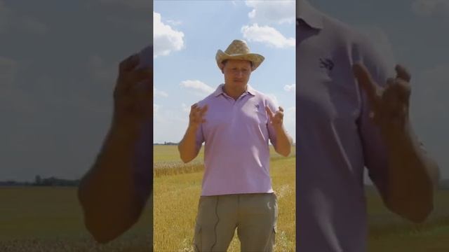 Испытания ИДЕАЛьного комбайна от Fendt на уборке озимой пшеницы урожайностью 65 ц/га
