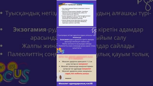 Адамзаттың пайда болуы| Тас дәуірі| Мыс-Тас(Энеолит)| ҰБТ 2023| 5-6 сынып смотреть онлайн