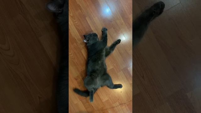 Dusty relaxing смотреть онлайн