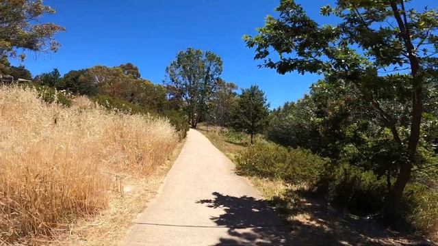 Virtual Run 40 Min Snowy Mountains  Australia 4K