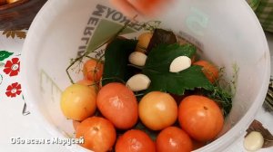 ТАК ПРОСТО ВЗЯТЬ И ПОСОЛИТЬ ПОМИДОРЫ В ВЕДРЕ БЕЗ ЗАМОРОЧЕК ВКУСНО НА ЗИМУ @obovsemsmarusya