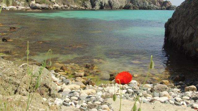 Евгений Косенков. Душа плакала. Христианские песни. смотреть онлайн