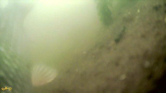 Речная рыбалка