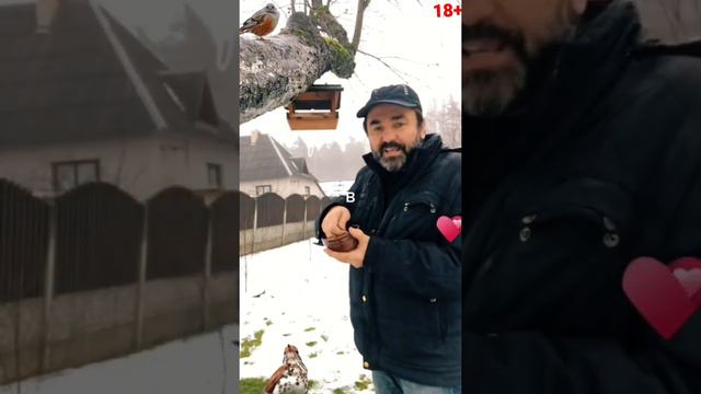 Кормите птиц зимой ? смотреть онлайн