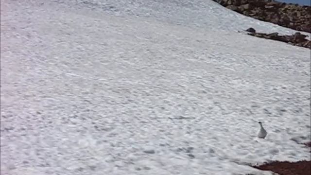 Казанский камень, Главный Уральский хребет смотреть онлайн