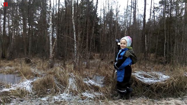 Девочка фотографирует сову в заказнике Выгонощанский Ивацевичи Телеханы смотреть онлайн