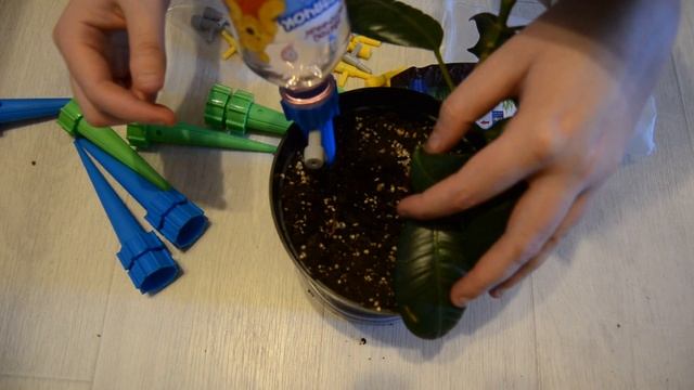 Капельный полив для цветов, система капельного полива смотреть онлайн