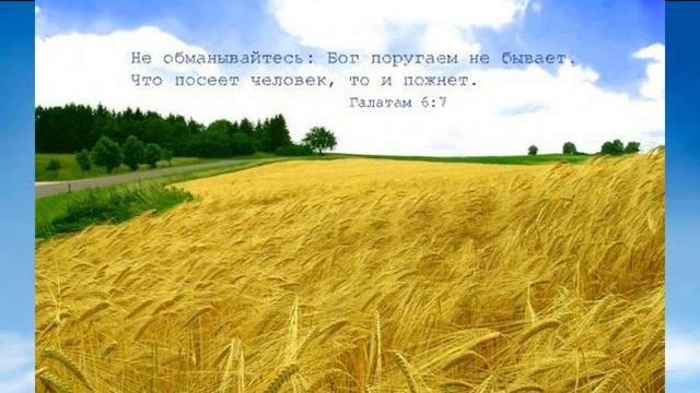 Пророчество 26 12 2021 Путь народа моево будет более стеснен... смотреть онлайн