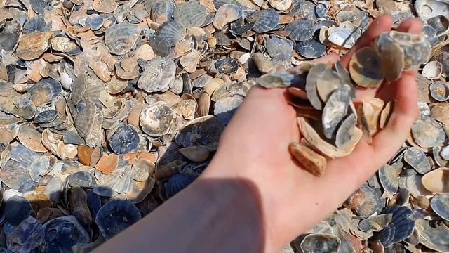 Крым 2020: ПУСТУЕТ Золотой пляж. Феодосия Приморский 2020. Новости Крыма сегодня. Крым отдых 2020. смотреть онлайн