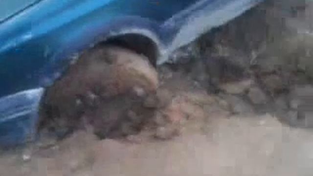 Друг до катался.... смотреть онлайн