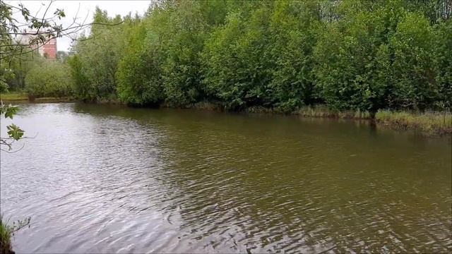 [VLOG] ЯНАО 2023 Дорога, лес, река, корабли, лиса. смотреть онлайн