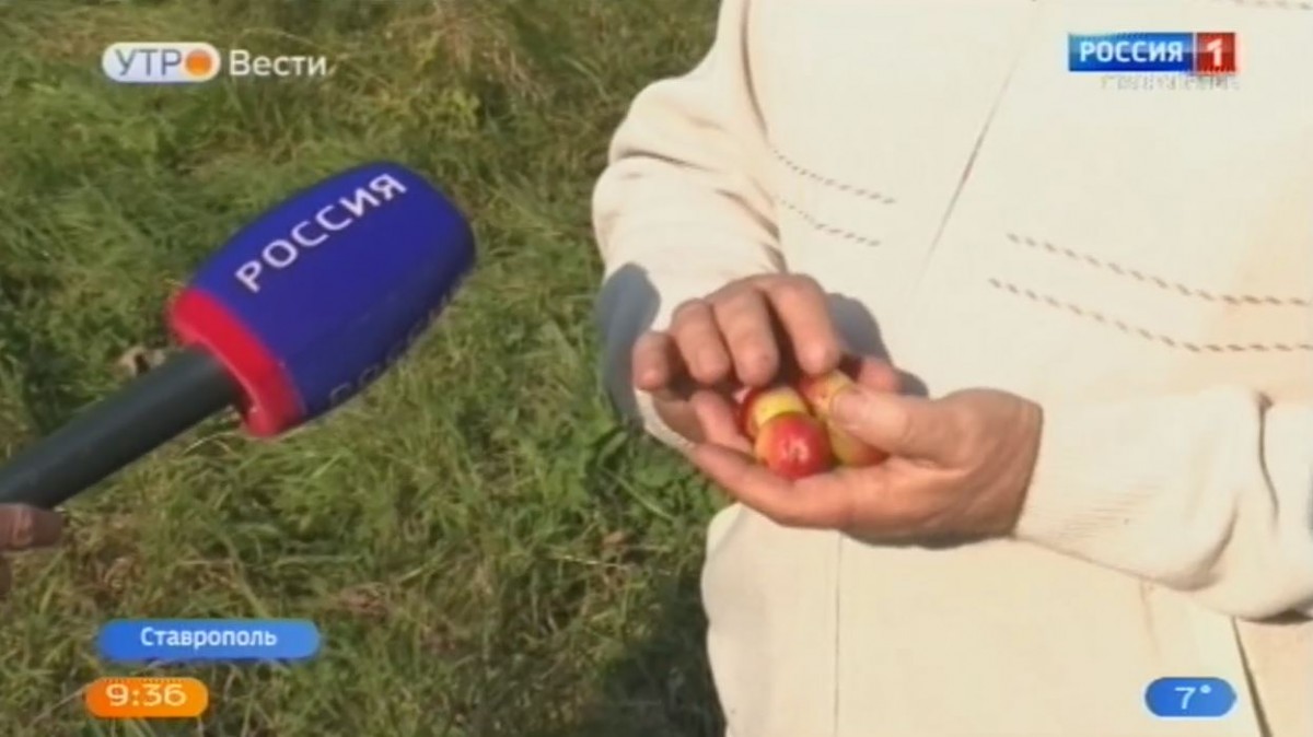 Ботанический сад Ставрополя радует осенними красками смотреть онлайн